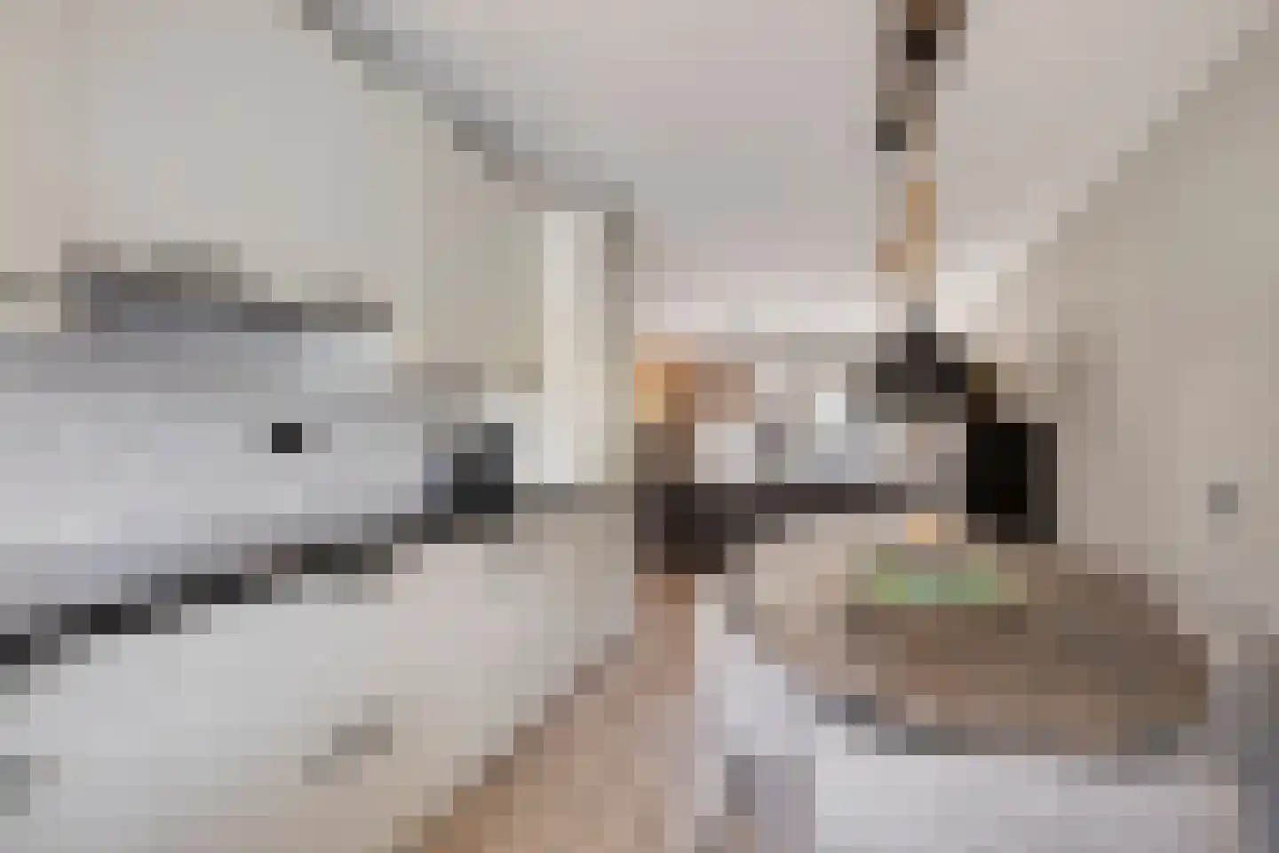 Veenlanden 22 Hoevelaken thumbnail 11