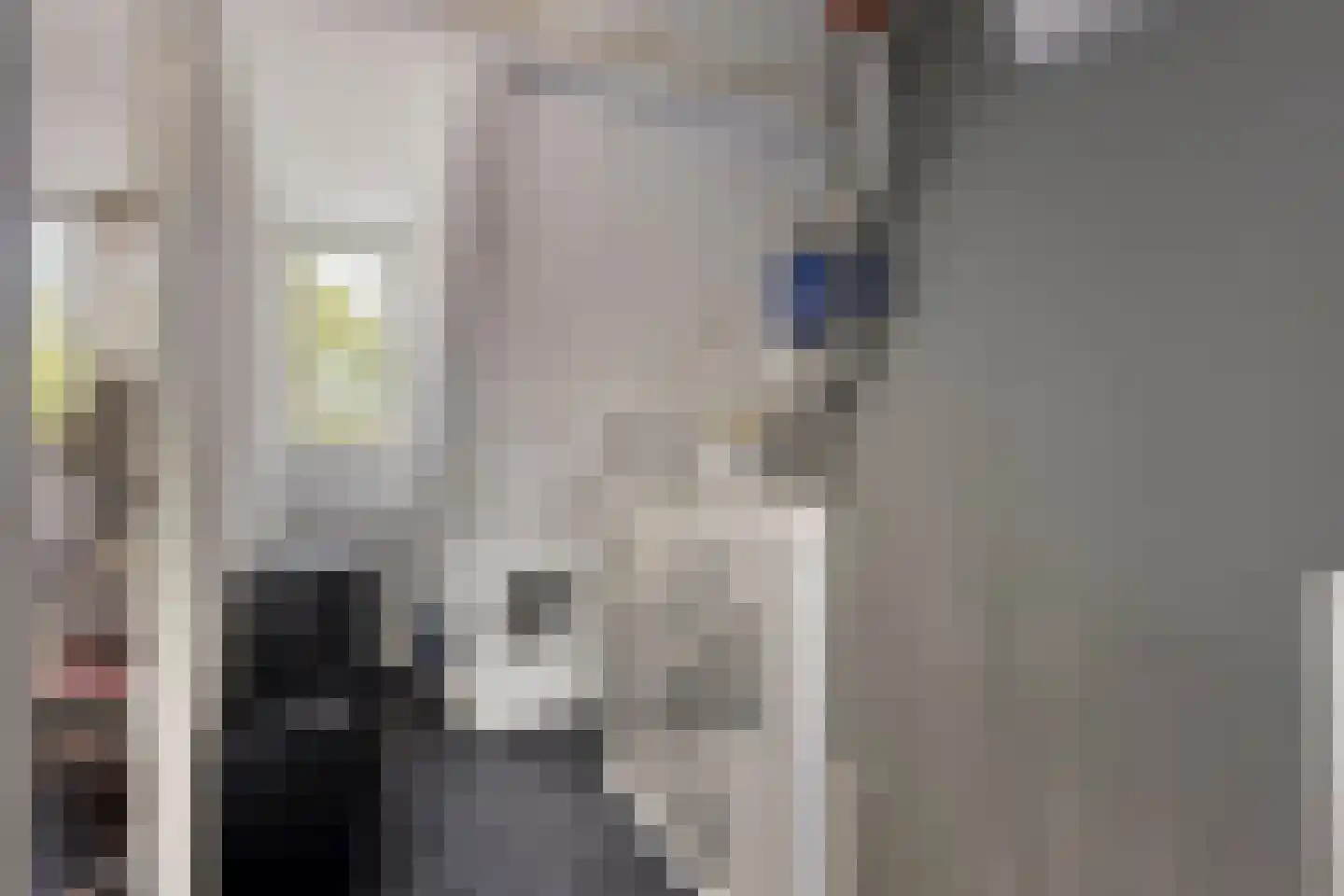 Veenlanden 22 Hoevelaken thumbnail 18