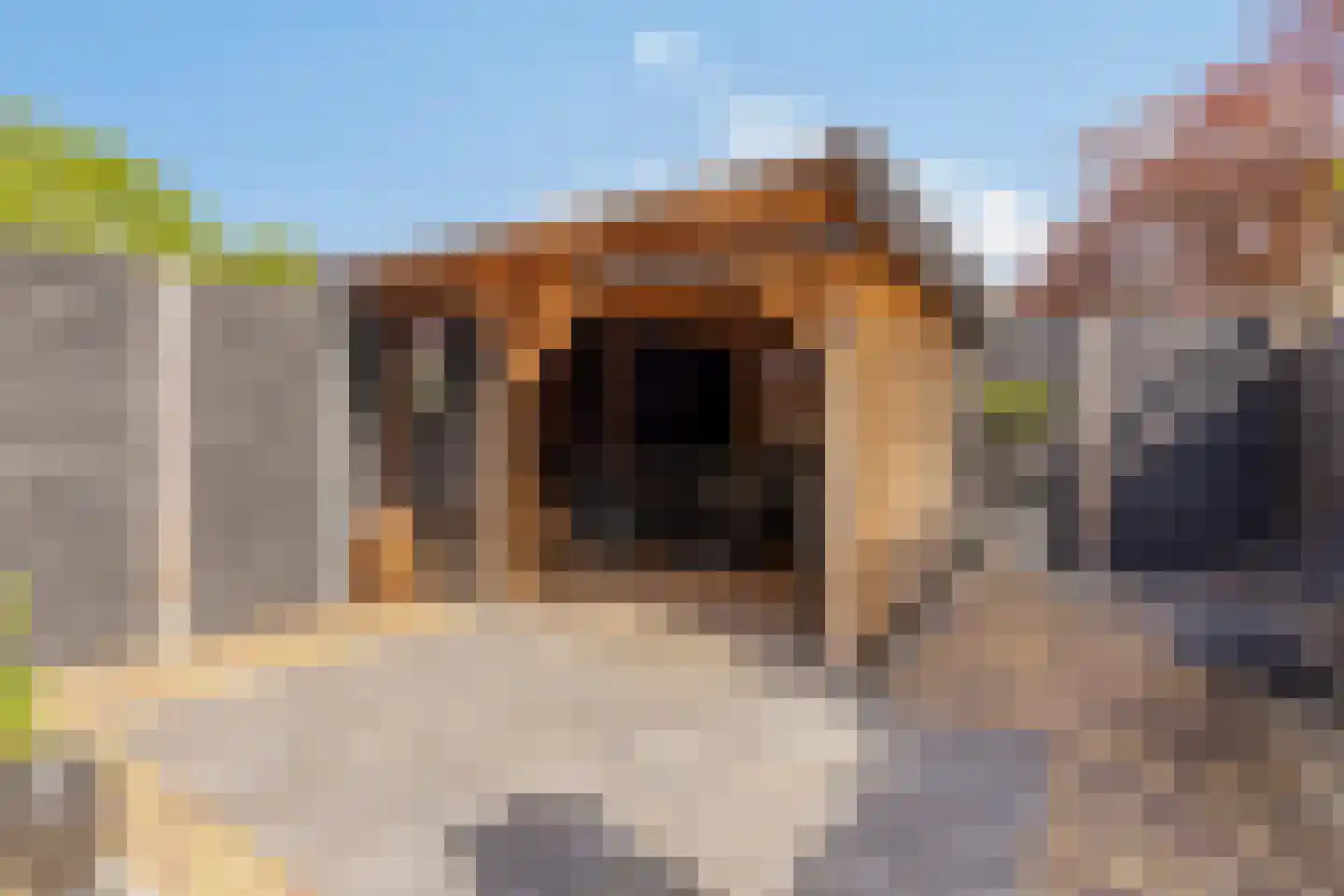 Veenlanden 22 Hoevelaken thumbnail 23