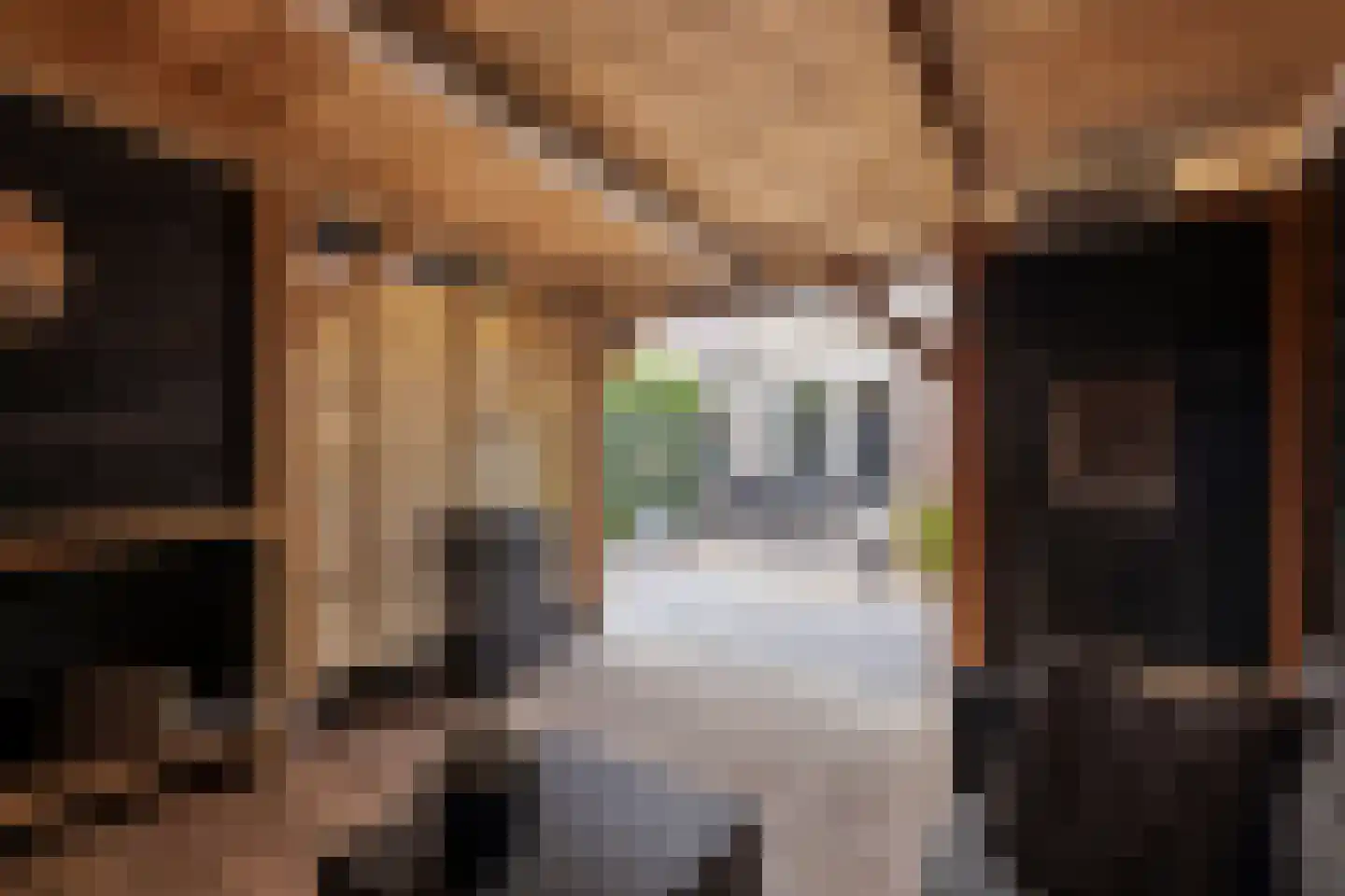 Veenlanden 22 Hoevelaken thumbnail 25
