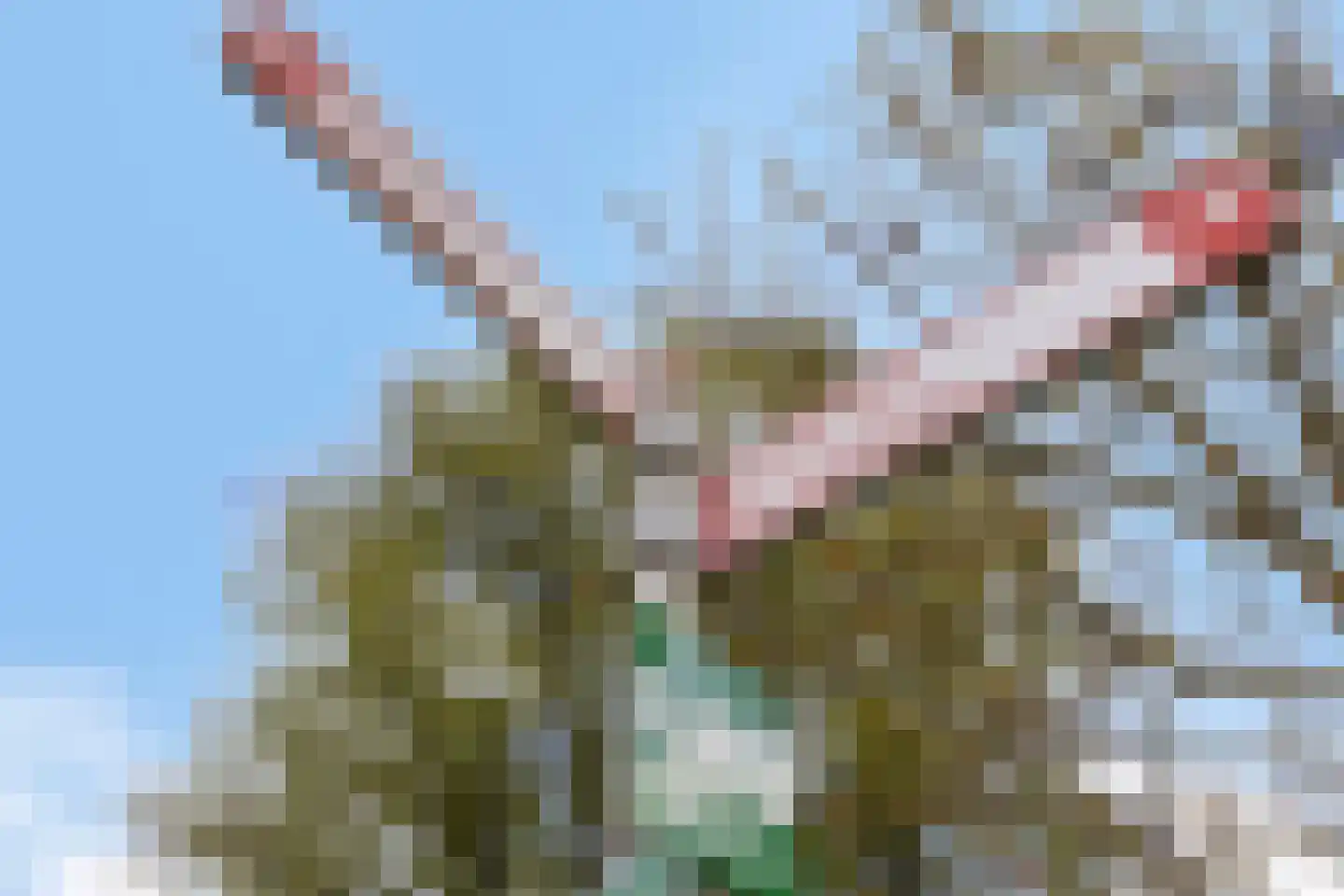 Veenlanden 22 Hoevelaken thumbnail 27