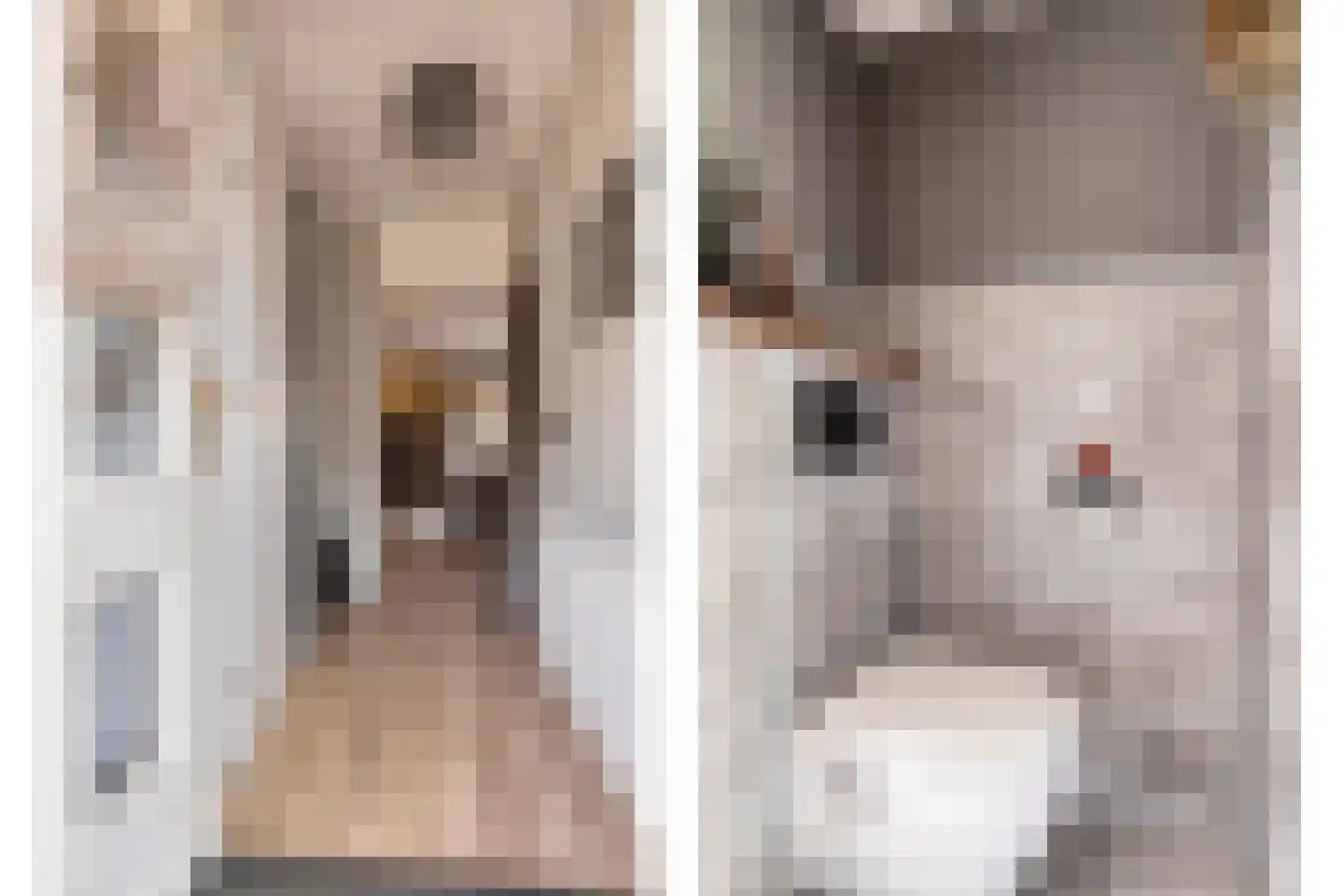 Veenlanden 22 Hoevelaken thumbnail 5