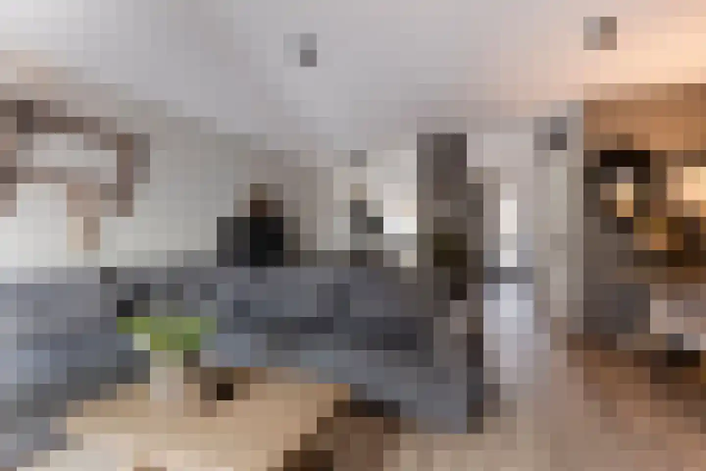 Veenlanden 22 Hoevelaken thumbnail 8
