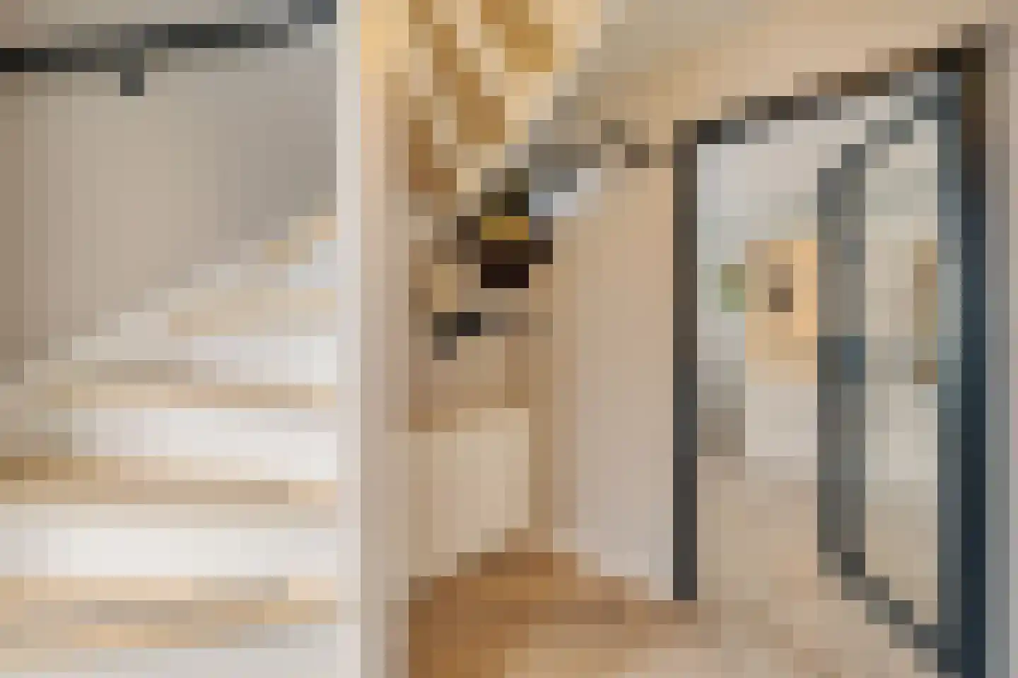 Veenlanden 23 Steenwijk thumbnail 11