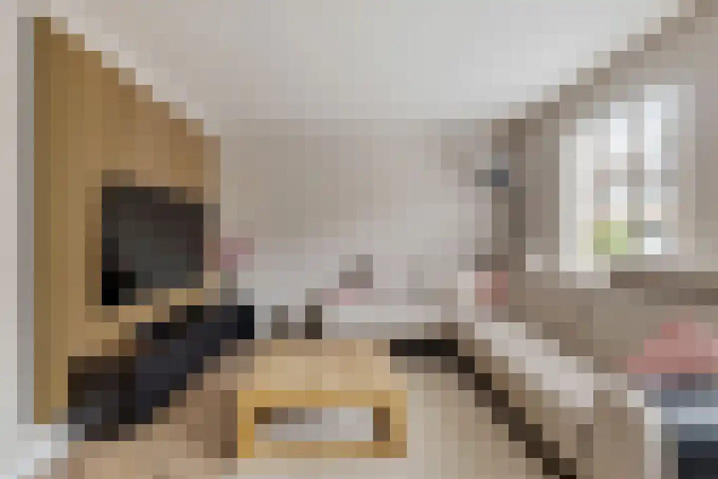 Veenlanden 23 Steenwijk thumbnail 13