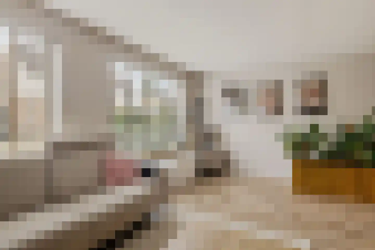 Veenlanden 23 Steenwijk thumbnail 14