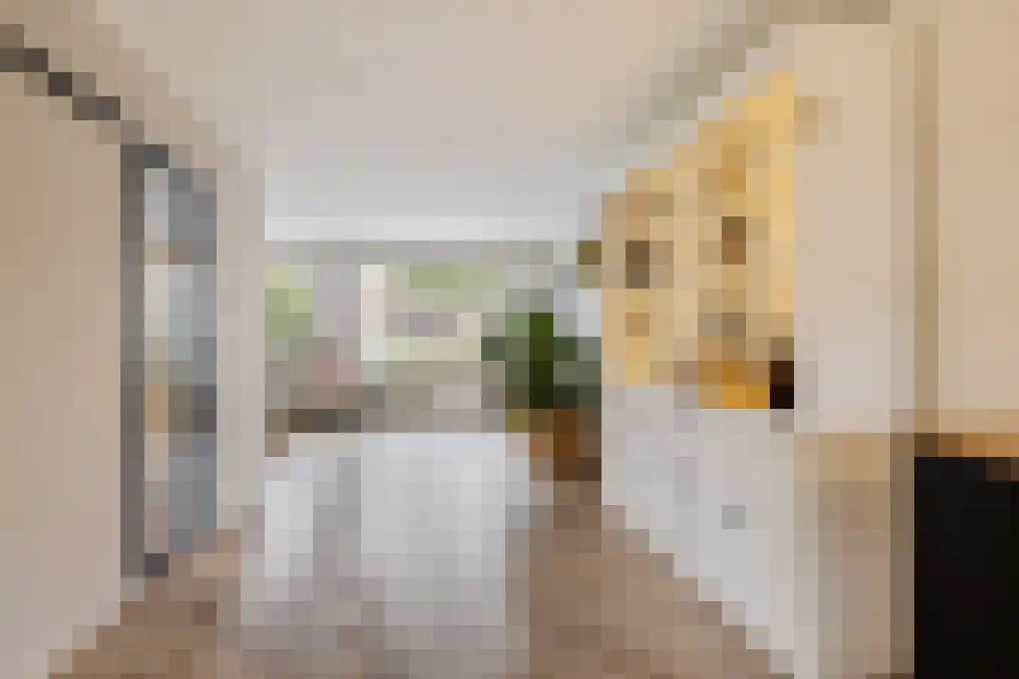 Veenlanden 23 Steenwijk thumbnail 17