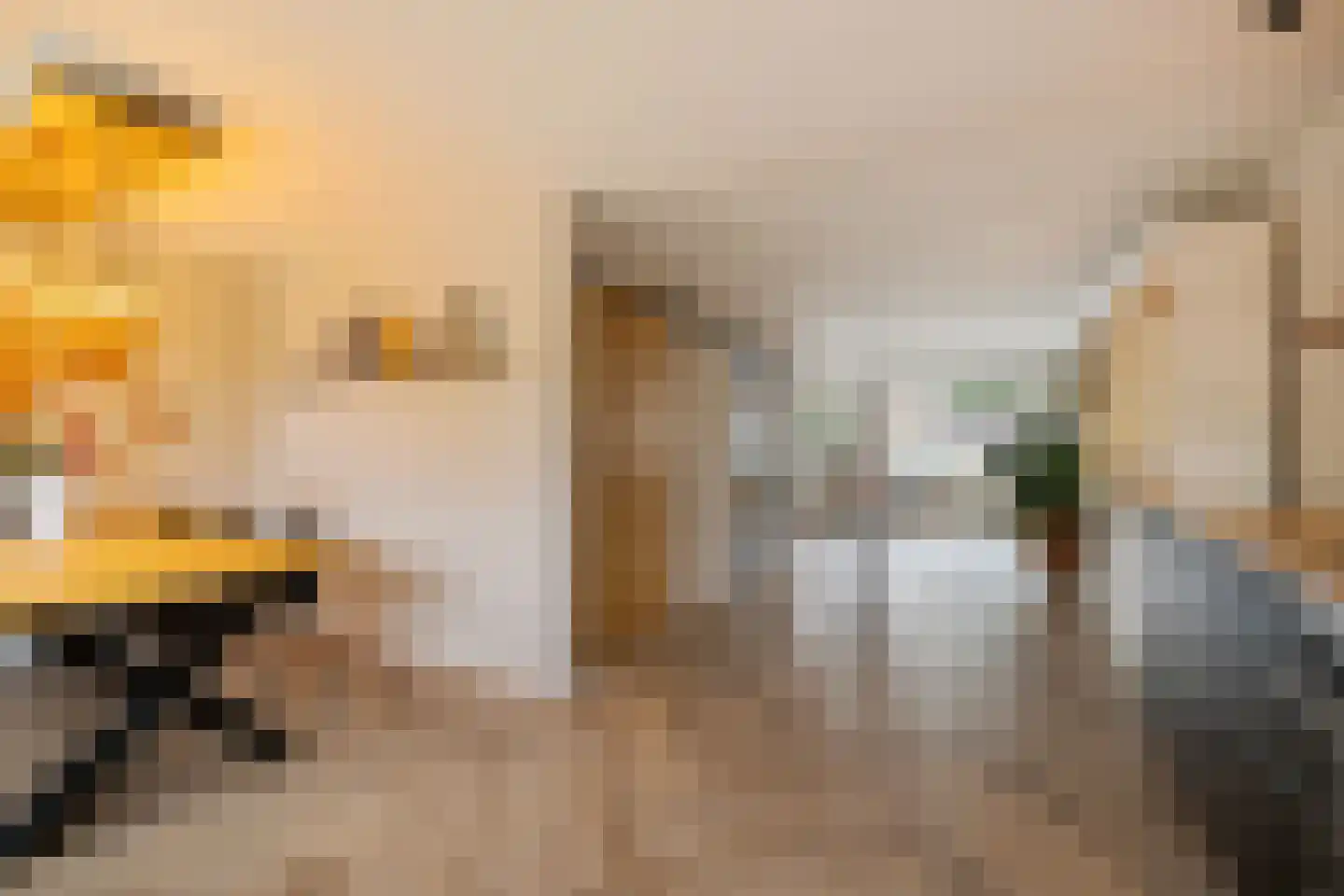 Veenlanden 23 Steenwijk thumbnail 22