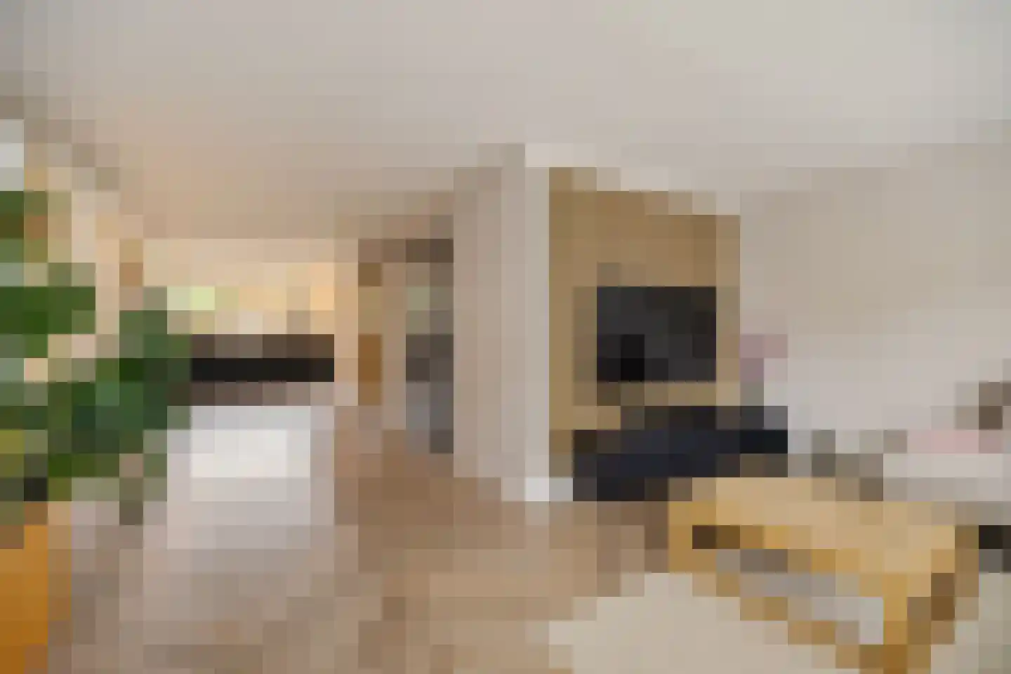 Veenlanden 23 Steenwijk thumbnail 23