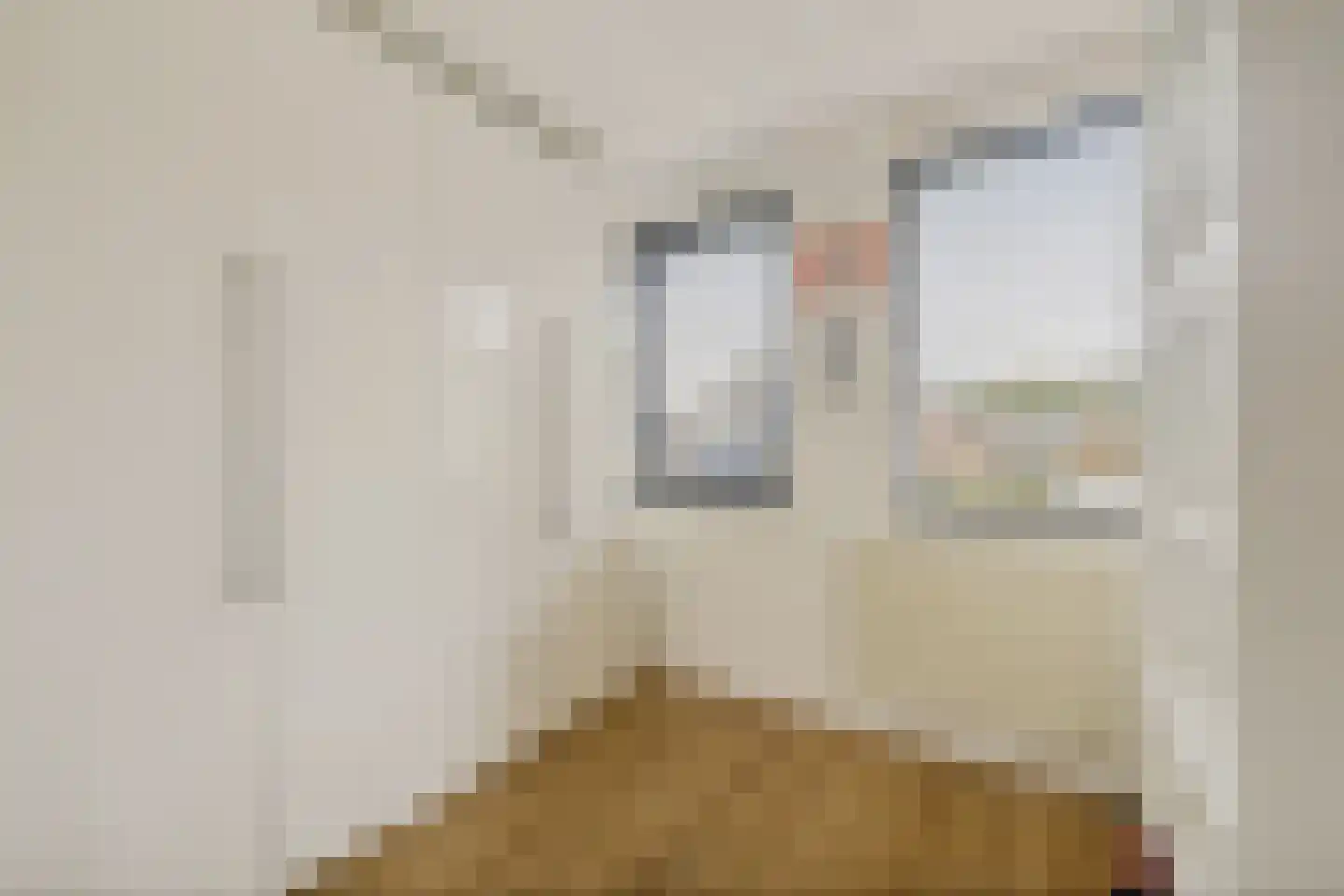 Veenlanden 23 Steenwijk thumbnail 27