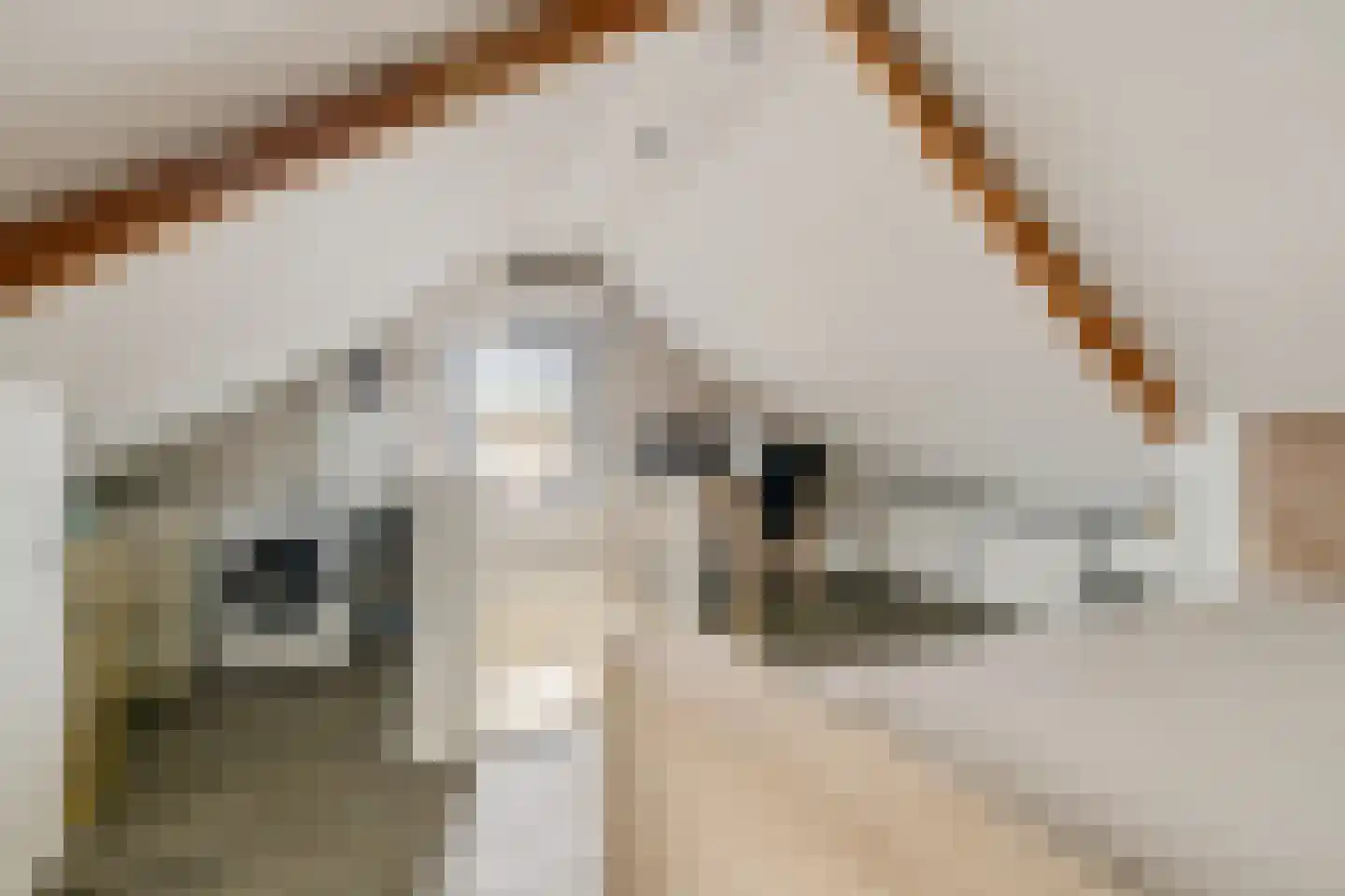 Veenlanden 23 Steenwijk thumbnail 37