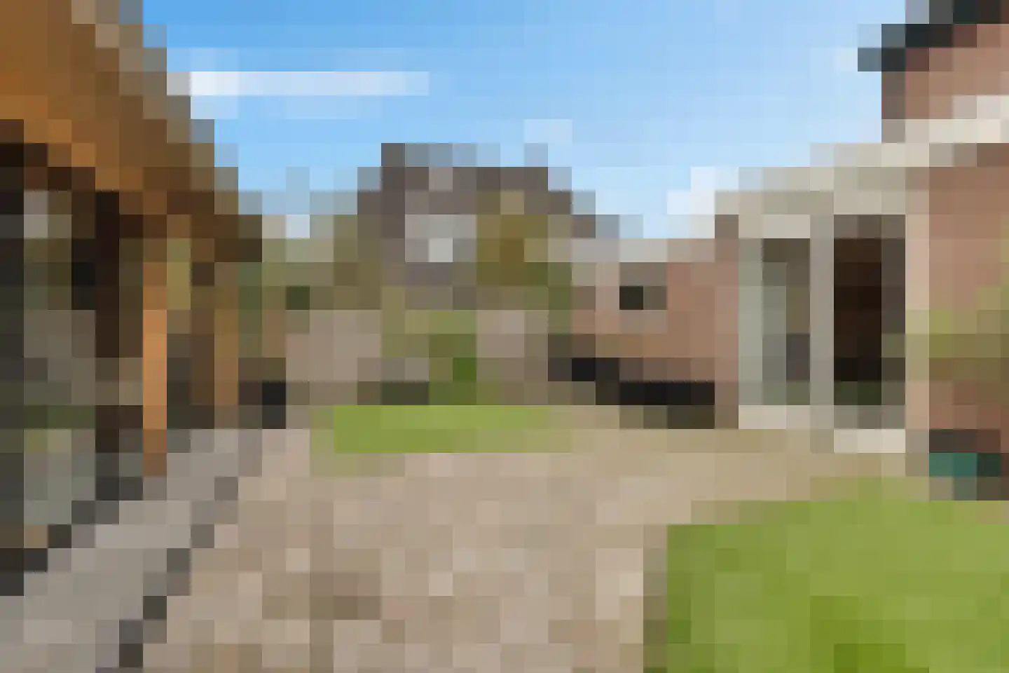 Veenlanden 23 Steenwijk thumbnail 41