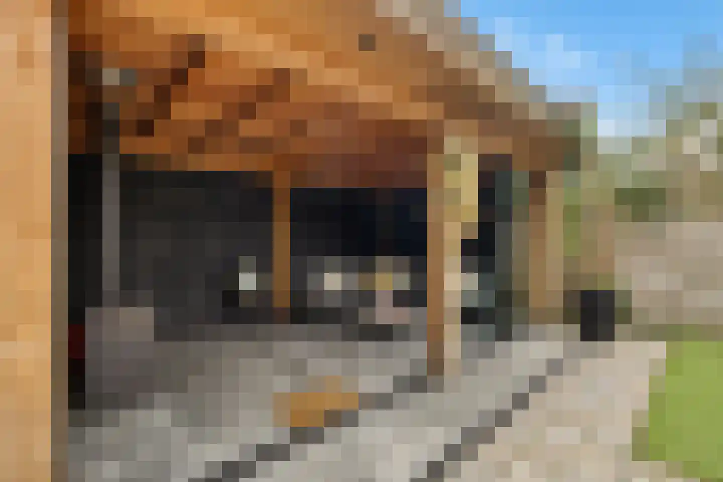 Veenlanden 23 Steenwijk thumbnail 42