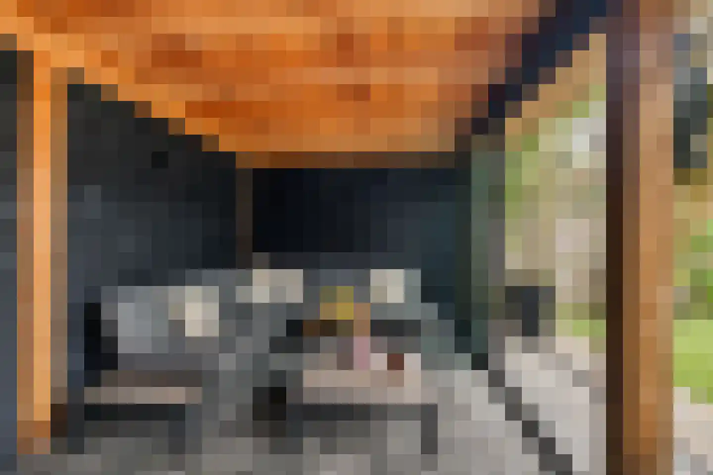 Veenlanden 23 Steenwijk thumbnail 43
