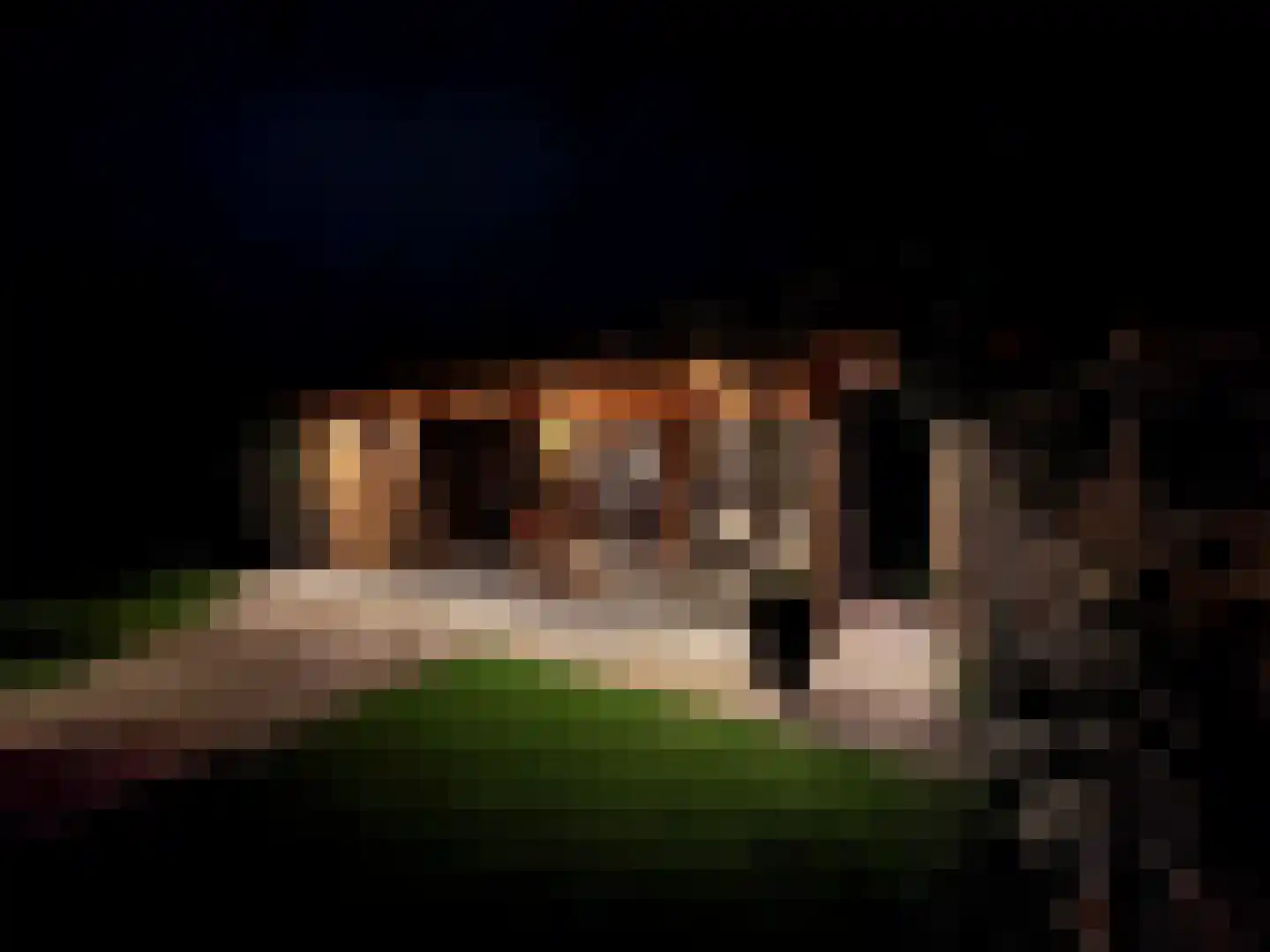 Veenlanden 23 Steenwijk thumbnail 47
