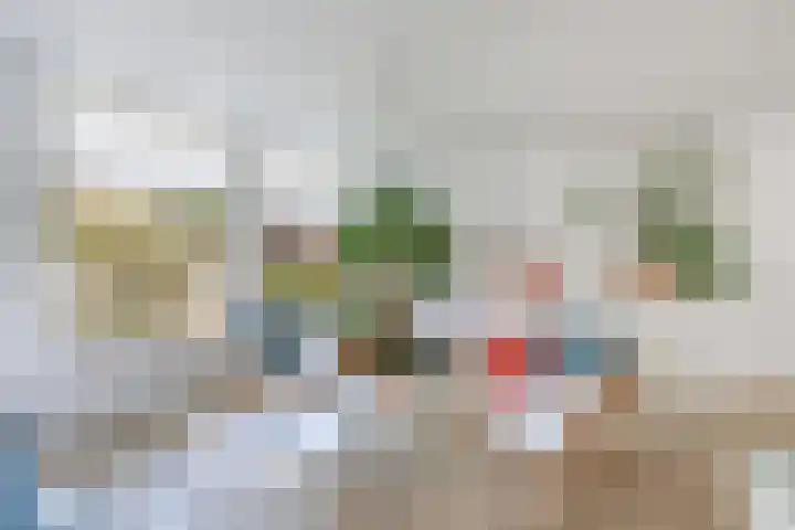 Veenlanden 39 Steenwijk thumbnail 10