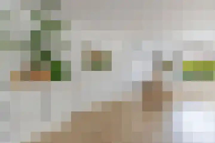 Veenlanden 39 Steenwijk thumbnail 12