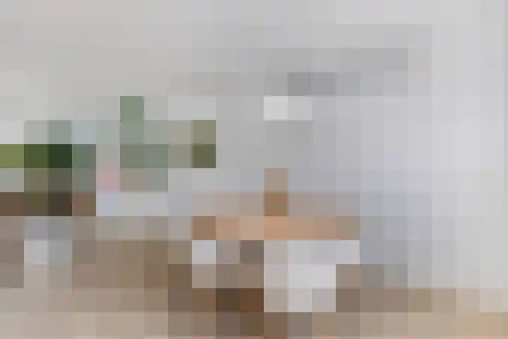 Veenlanden 39 Steenwijk thumbnail 13