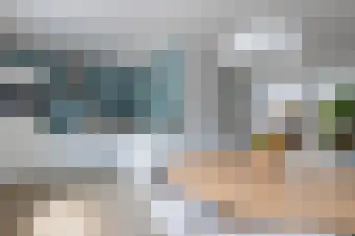 Veenlanden 39 Steenwijk thumbnail 14