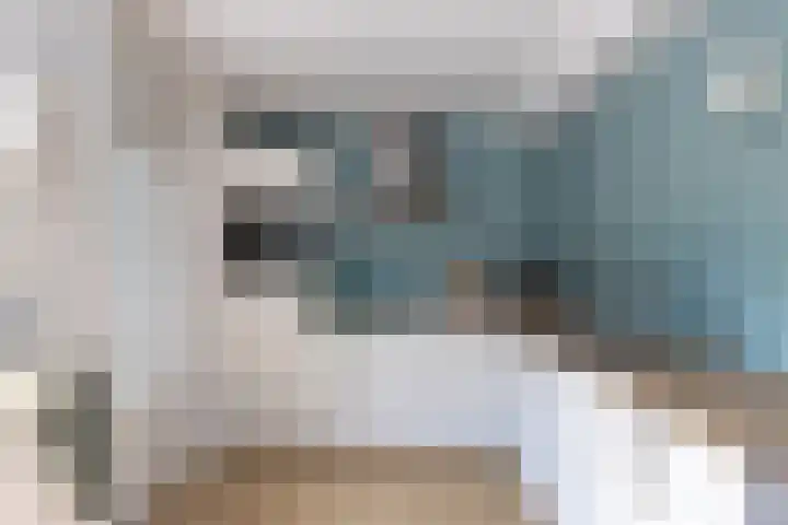 Veenlanden 39 Steenwijk thumbnail 15