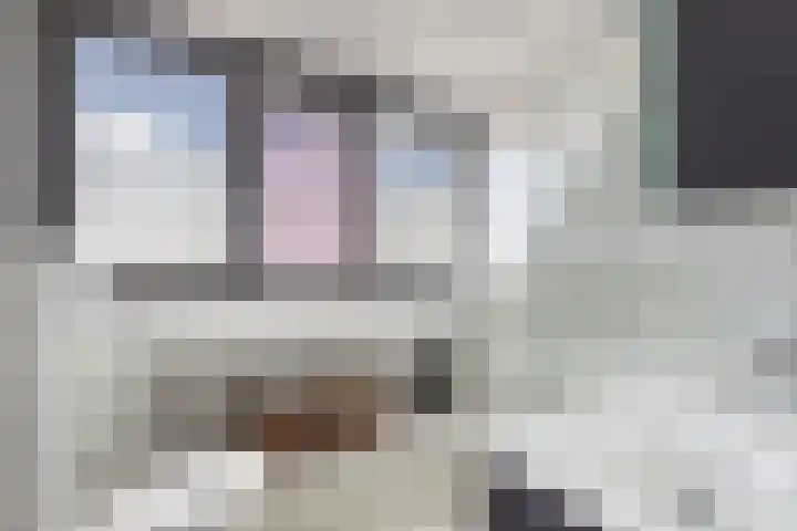 Veenlanden 39 Steenwijk thumbnail 21