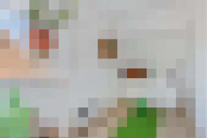Veenlanden 39 Steenwijk thumbnail 24