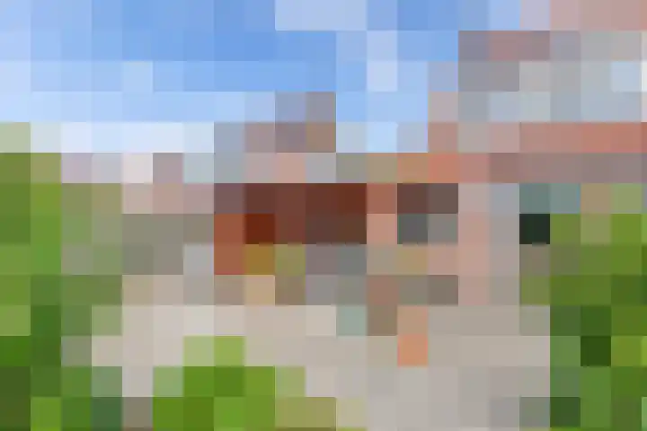 Veenlanden 39 Steenwijk thumbnail 31