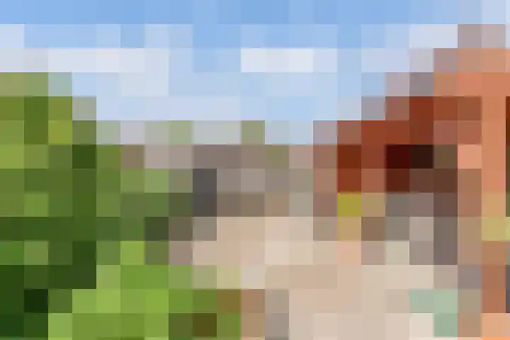 Veenlanden 39 Steenwijk thumbnail 32