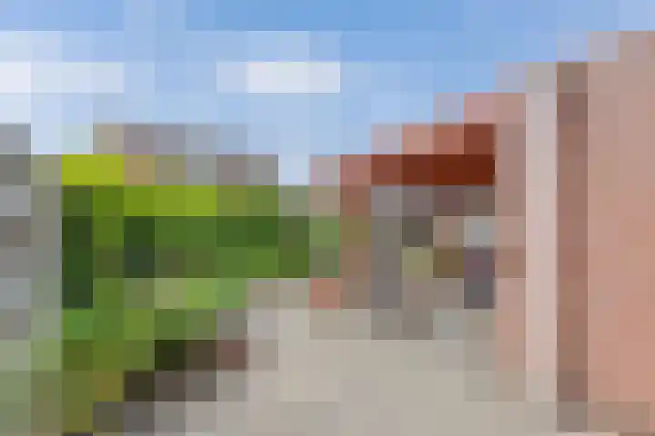 Veenlanden 39 Steenwijk thumbnail 34