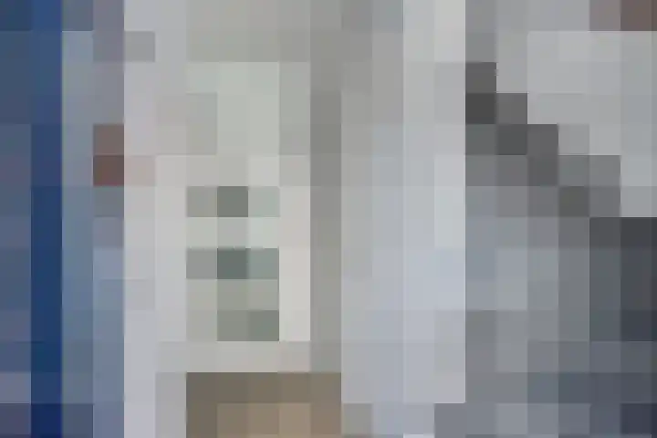 Veenlanden 39 Steenwijk thumbnail 5