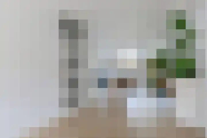 Veenlanden 39 Steenwijk thumbnail 7
