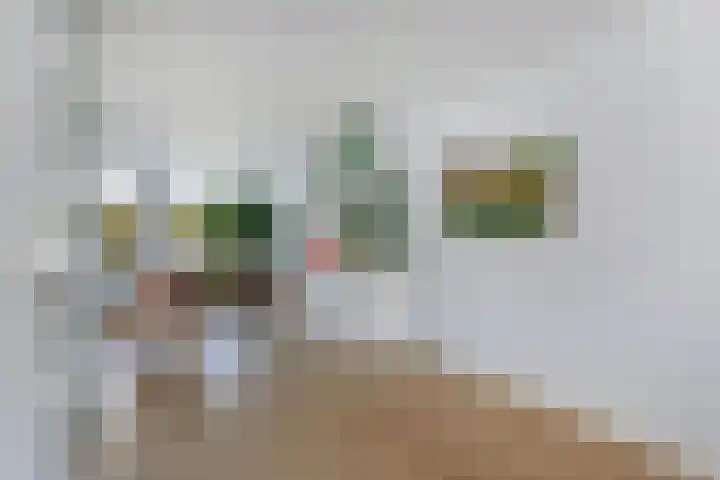 Veenlanden 39 Steenwijk thumbnail 8