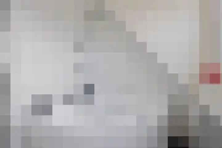 Veenlanden 41 Steenwijk thumbnail 16