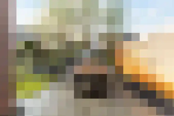 Veenlanden 41 Steenwijk thumbnail 22