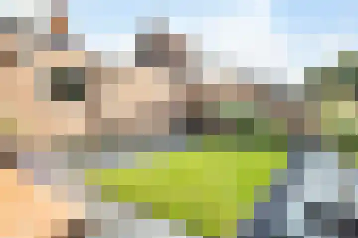Veenlanden 41 Steenwijk thumbnail 24