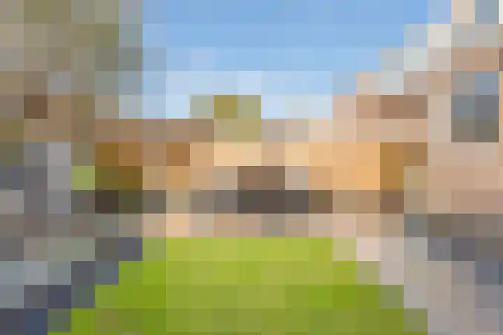 Veenlanden 41 Steenwijk thumbnail 25