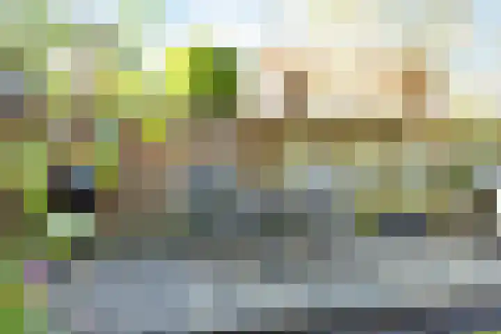 Veenlanden 41 Steenwijk thumbnail 26