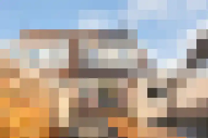 Veenlanden 41 Steenwijk thumbnail 28