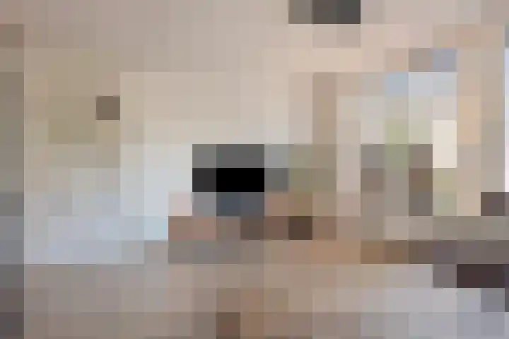 Veenlanden 41 Steenwijk thumbnail 4
