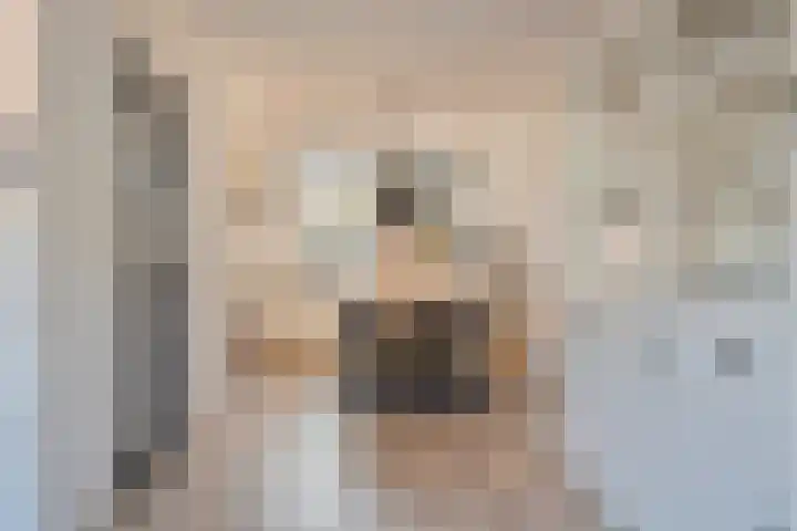 Veenlanden 41 Steenwijk thumbnail 7