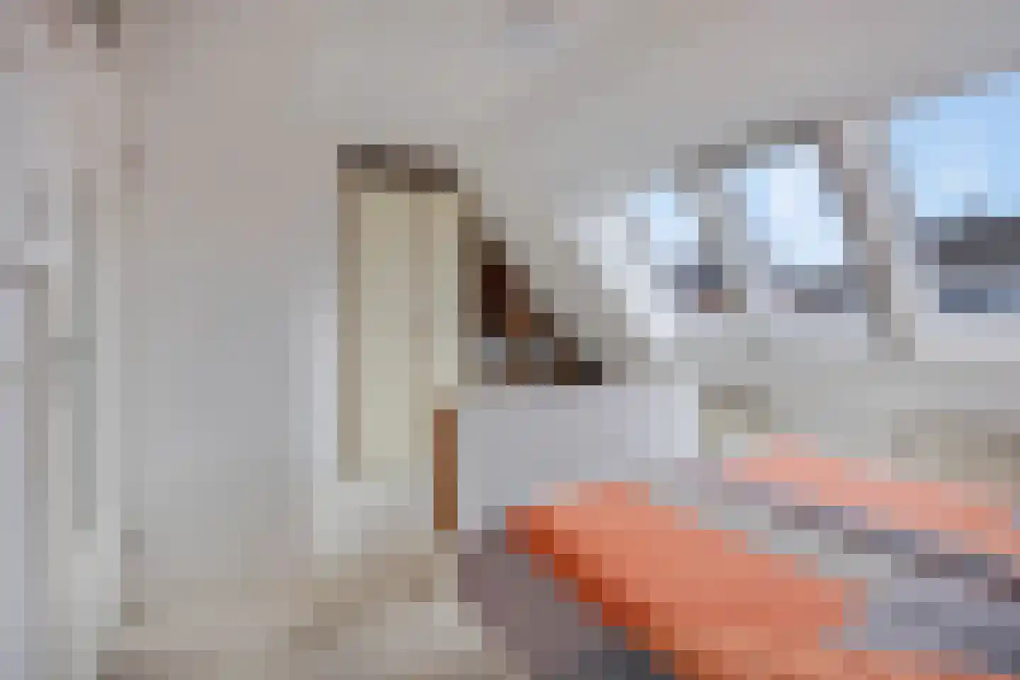 Veenlanden 44 Hoevelaken thumbnail 25