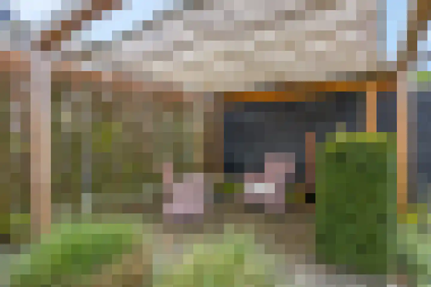 Veenlanden 44 Hoevelaken thumbnail 48