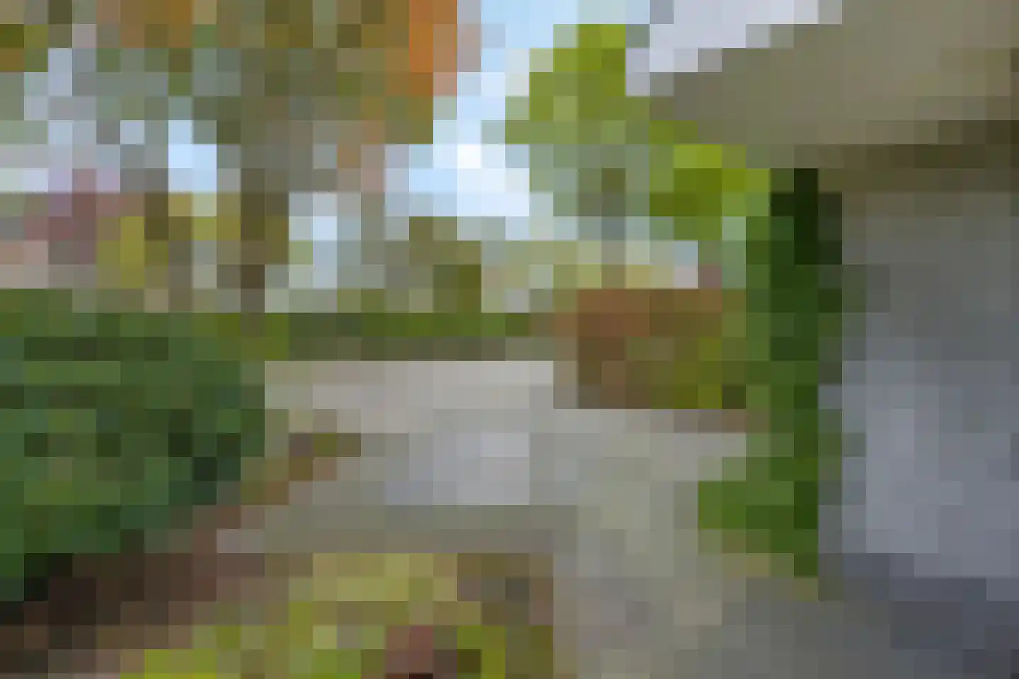 Veenlanden 44 Hoevelaken thumbnail 54