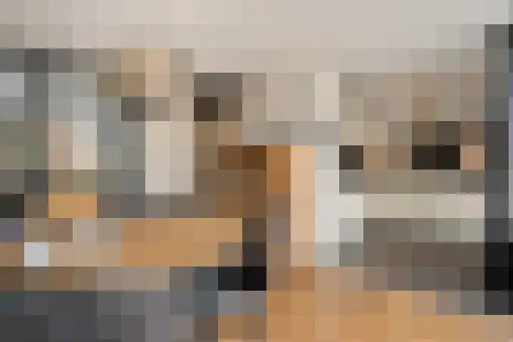 Veenlanden 56 Steenwijk thumbnail 10