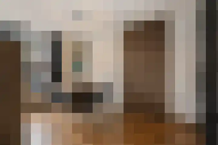 Veenlanden 56 Steenwijk thumbnail 12