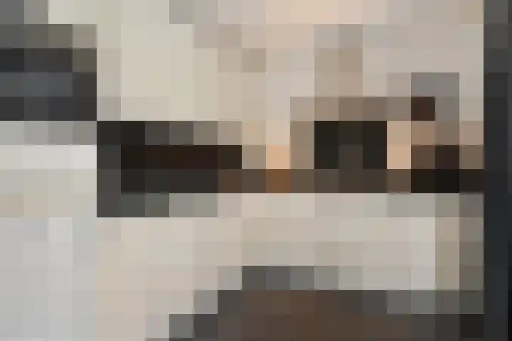 Veenlanden 56 Steenwijk thumbnail 14