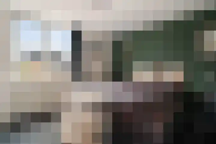 Veenlanden 56 Steenwijk thumbnail 21
