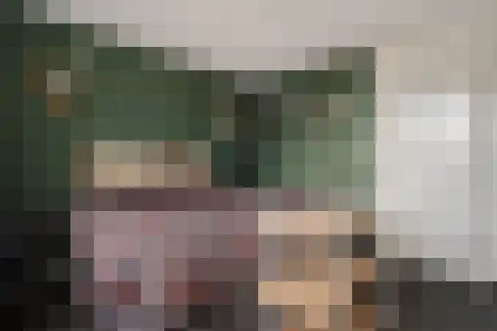 Veenlanden 56 Steenwijk thumbnail 23
