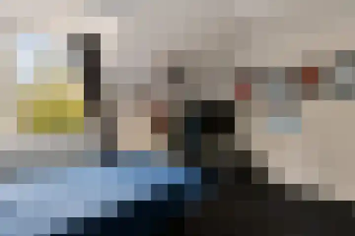 Veenlanden 56 Steenwijk thumbnail 25