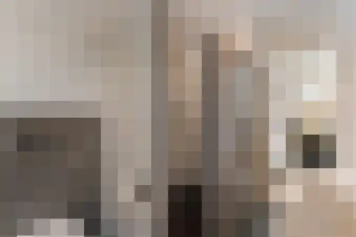 Veenlanden 56 Steenwijk thumbnail 28